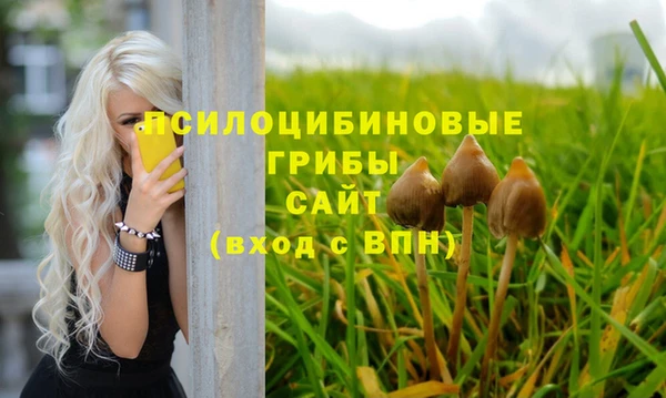 альфа пвп Верхний Тагил