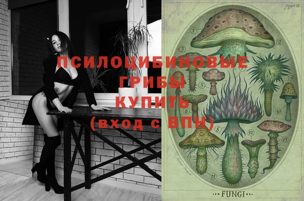 стафф Верея