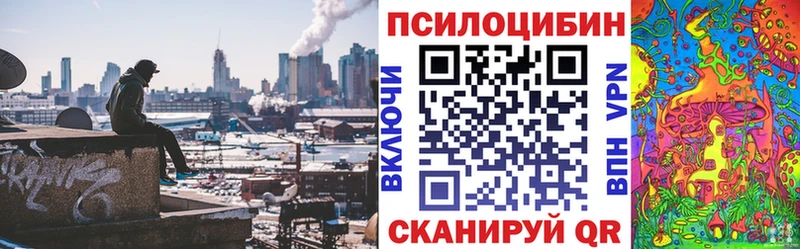 Псилоцибиновые грибы Magic Shrooms  Завитинск 